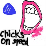 CHICKS ON SPEED - We dont play Guitars